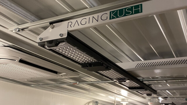 Grow Lighting Morrison Electric